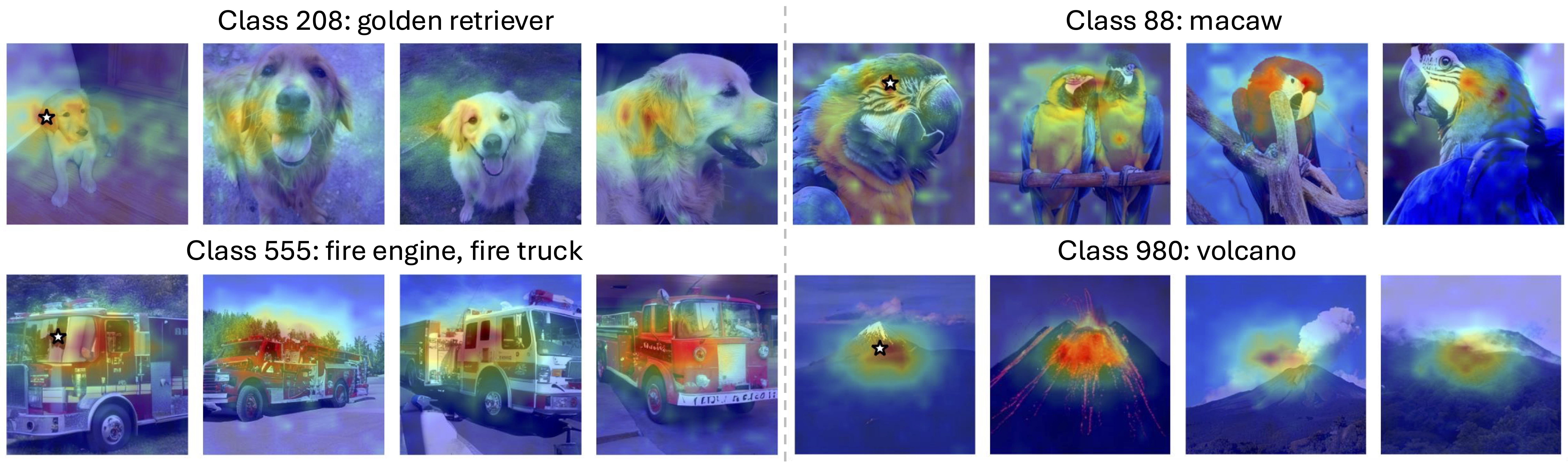 Cross-Sample Attention Visualization